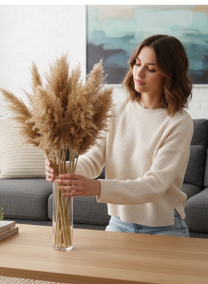 FANCY FLOWERS 3 Pieces Fancy Natural Soft Dry Pampas Grass XL - 60-70Cm - Image 5